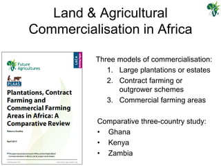Large scale land acquisitions and responsible investment in Africa | PDF