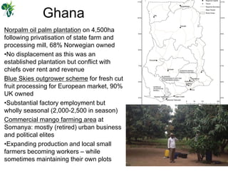 Large scale land acquisitions and responsible investment in Africa | PDF