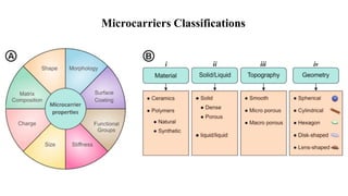 Microcarriers Classifications
 