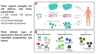 Three typical strategies for
cell delivery and tissue
regeneration.
i) cell seeded 3D porous
scaffolds
ii) cell-mixed hydrogel
iii)Cell-laden microcarrier.
Three distinct types of
microcarrier that are used for
controlled encapsulation and
release.
 