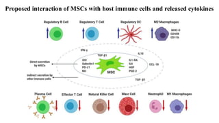Proposed interaction of MSCs with host immune cells and released cytokines
 