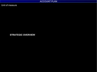 STRATEGIC OVERVIEW ACCOUNT PLAN 