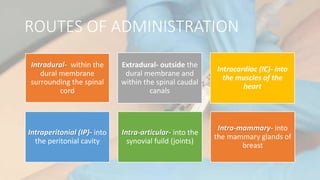 ROUTES OF ADMINISTRATION
Intradural- within the
dural membrane
surrounding the spinal
cord
Extradural- outside the
dural membrane and
within the spinal caudal
canals
Intracardiac (IC)- into
the muscles of the
heart
Intraperitonial (IP)- into
the peritonial cavity
Intra-articular- into the
synovial fuild (joints)
Intra-mammary- into
the mammary glands of
breast
 