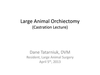 Large Animal Orchiectomy
     (Castration Lecture)




    Dane Tatarniuk, DVM
  Resident, Large Animal Surgery
          April 5th, 2013
 