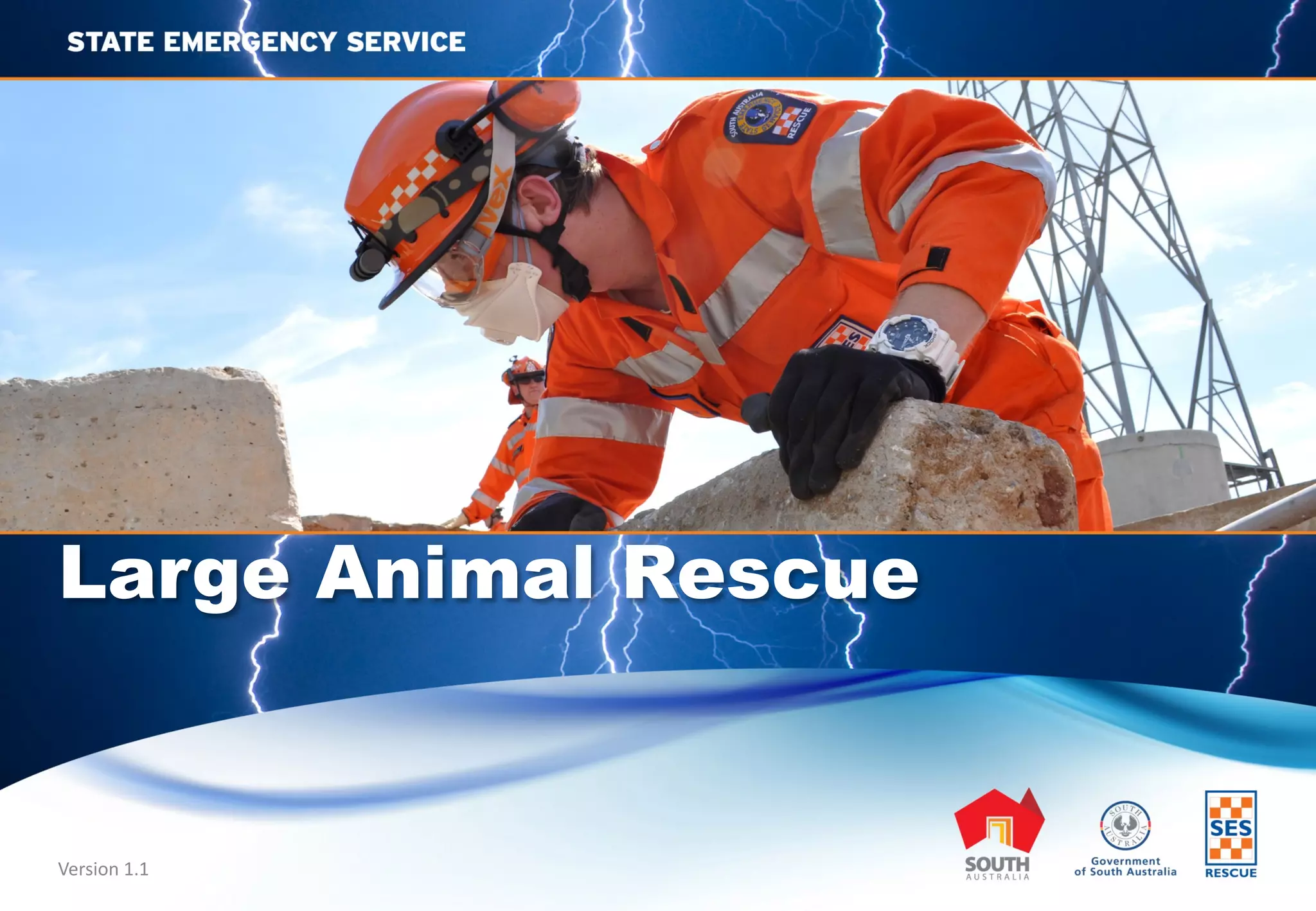 Sen Animal Rescue Large Animal Rescue SA SES capability | PDF