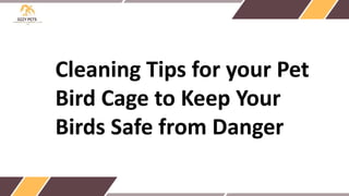Cleaning Tips for your Pet
Bird Cage to Keep Your
Birds Safe from Danger
 