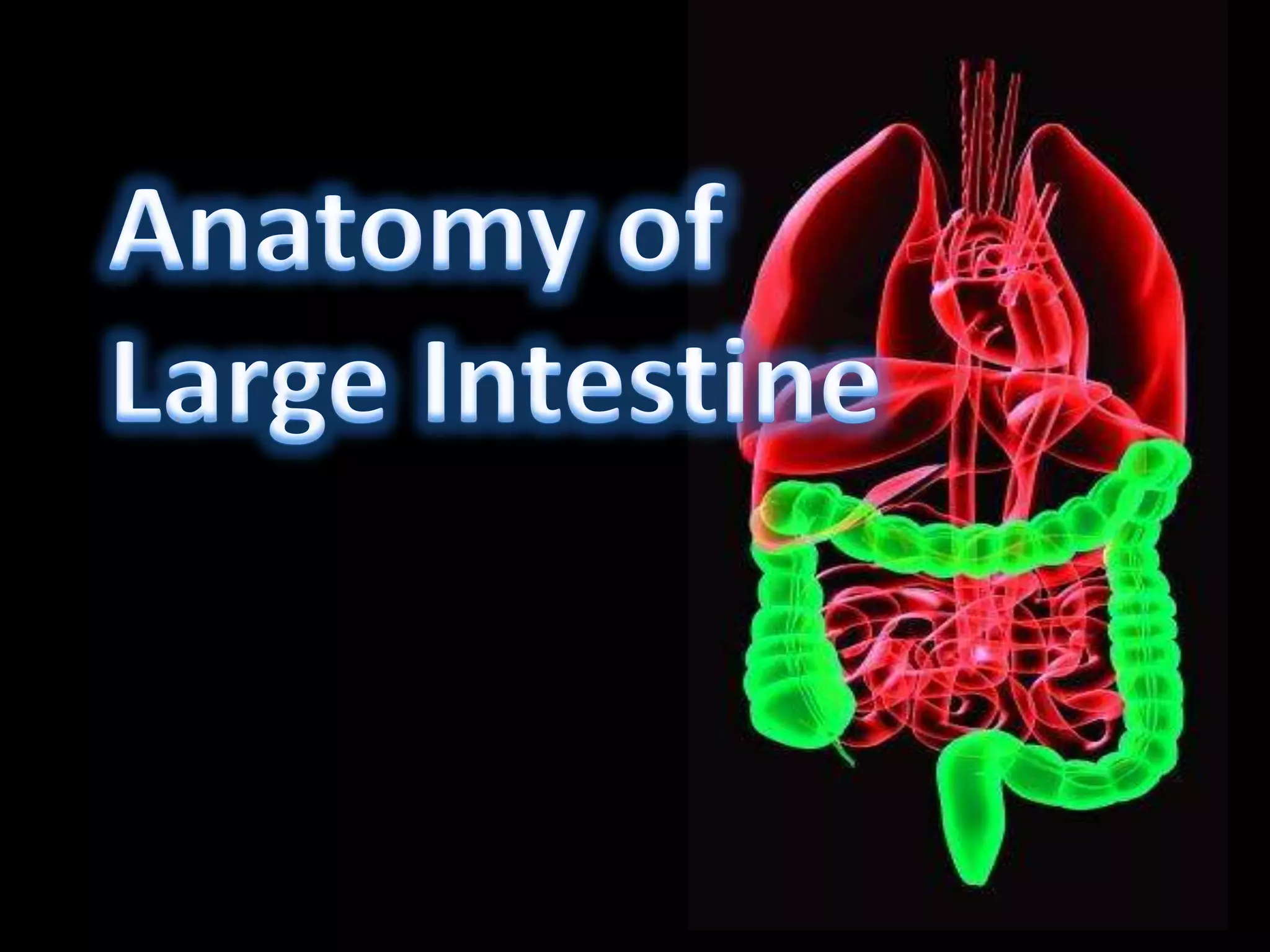 Large bowel obstruction | PPTX