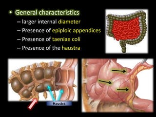 Large bowel obstruction | PPTX
