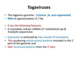 Togaviruses
• The togavirus genome - (+)sense ,Ss ,non-segmented
• RNA of approximately 11.7 kb.
• It has the following features:
• It resembles cellular mRNAs (5’ methylated cap &
3’poly(A) sequences).
• Expression is achieved by two rounds of translation,
• first producing nonstructural proteins encoded in the 5’
part of the genome and
• later structural proteins from the 3’ part.
 