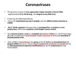 Coronaviruses
• The genome consists of non-segmented, single-stranded, (+)sense RNA,
approximately 27 to 30 kb long, the longest of any RNA virus.
• It also has the following features:
• It has a 5’ methylated cap and 3’ poly(A), and the vRNA functions directly as
mRNA.
• The 5’ 20-kb segment of the genome is translated first to produce a virus
polymerase, which then produces a full-length (-)sense strand.
• This (-)sense strand is used as a template to produce mRNA as a set of transcripts,
all with an identical 5’ nontranslated leader sequence of 72 nt and coincident 3’
polyadenylated ends.
• Each mRNA is monocistronic, the genes at the 5’ end being translated from the
longest mRNA and so on. These unusual cytoplasmic structures are produced not
by splicing (posttranscriptional modification) but by the polymerase during
transcription.
 