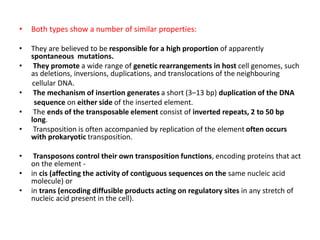 • Both types show a number of similar properties:
• They are believed to be responsible for a high proportion of apparently
spontaneous mutations.
• They promote a wide range of genetic rearrangements in host cell genomes, such
as deletions, inversions, duplications, and translocations of the neighbouring
cellular DNA.
• The mechanism of insertion generates a short (3–13 bp) duplication of the DNA
sequence on either side of the inserted element.
• The ends of the transposable element consist of inverted repeats, 2 to 50 bp
long.
• Transposition is often accompanied by replication of the element often occurs
with prokaryotic transposition.
• Transposons control their own transposition functions, encoding proteins that act
on the element -
• in cis (affecting the activity of contiguous sequences on the same nucleic acid
molecule) or
• in trans (encoding diffusible products acting on regulatory sites in any stretch of
nucleic acid present in the cell).
 