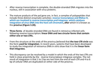 • After reverse transcription is complete, the double-stranded DNA migrates into the
nucleus, still in association with virus proteins.
• The mature products of the pol gene are, in fact, a complex of polypeptides that
include three distinct enzymatic activities: reverse transcriptase and RNAse H,
which are involved in reverse transcription,and integrase, which catalyses
integration of virus DNA into the host cell chromatin, after which it is known as
the provirus (Figure 3.20).
• Three forms of double-stranded DNA are found in retrovirus-infected cells
following reverse transcription: linear DNA and two circular forms that contain
either one or two LTRs.
• From the structure at the ends of the provirus,believed that the two-LTR circle was
the form used for integration. In recent years, systems that have been developed
to study the integration of retrovirus DNA in vitro show that it is the linear form
that integrates.
• This discrepancy can be resolved by a model in which the ends of the two LTRs are
held in close proximity by the reverse transcriptase–integrase complex. The net
result of integration is that 1 to 2 bp are lost from the end of each LTR and 4 to 6
bp of cellular DNA are duplicated on either side of the provirus.
 