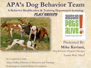 APA’s Dog Behavior Team
A Behavior Modification & Training Department featuring
Play Groups
Presented By:
Mike Kaviani,
Dog Behavior Program Manager
Austin Pets Alive!
In Cooperation with:
Aimee Sadler, Director of Behavior and Training
Southampton Animal Shelter Foundation
Safe Humane Chicago play group photo
 