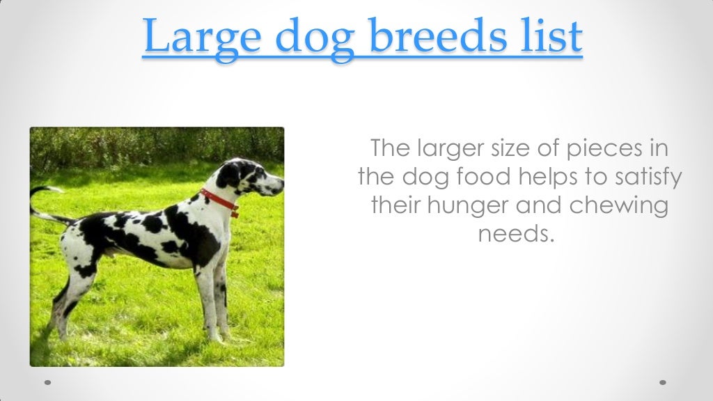 Large Dog Breeds List