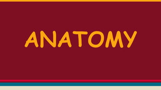 ANATOMY
 