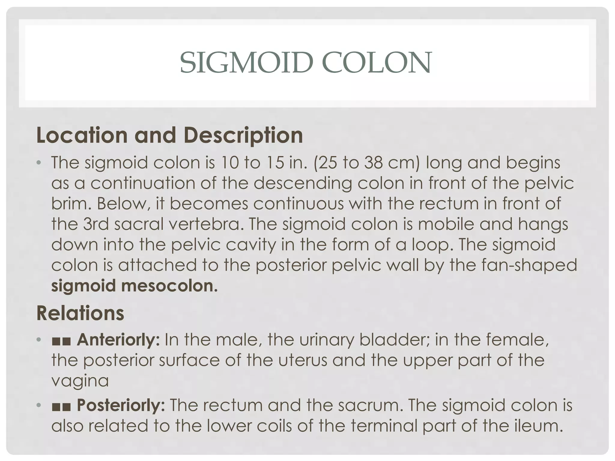 SIGMOID COLON
Location and Description
• The sigmoid colon is 10 to 15 in. (25 to 38 cm) long and begins
as a continuation of the descending colon in front of the pelvic
brim. Below, it becomes continuous with the rectum in front of
the 3rd sacral vertebra. The sigmoid colon is mobile and hangs
down into the pelvic cavity in the form of a loop. The sigmoid
colon is attached to the posterior pelvic wall by the fan-shaped
sigmoid mesocolon.
Relations
• ■■ Anteriorly: In the male, the urinary bladder; in the female,
the posterior surface of the uterus and the upper part of the
vagina
• ■■ Posteriorly: The rectum and the sacrum. The sigmoid colon is
also related to the lower coils of the terminal part of the ileum.
 