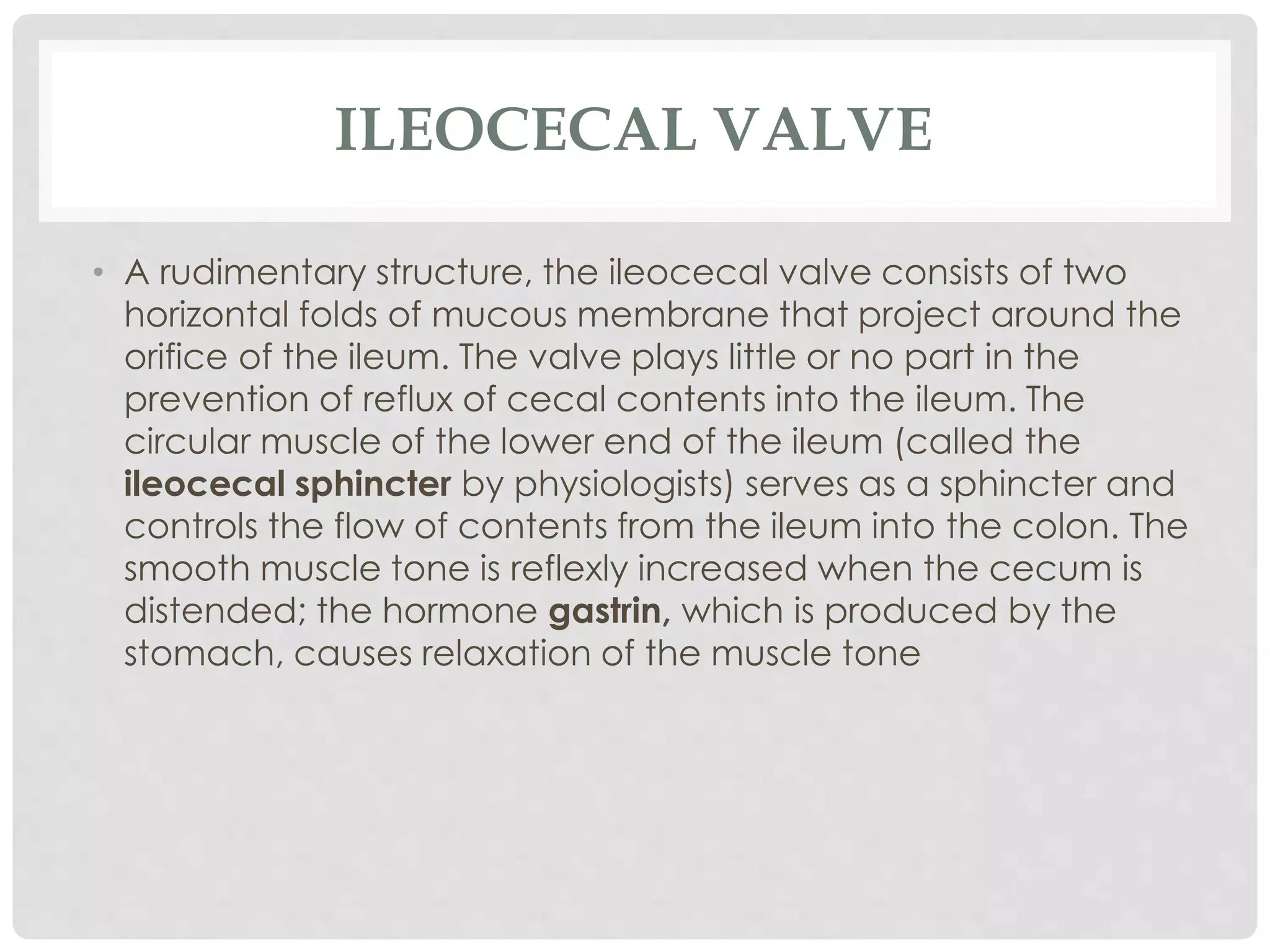 ILEOCECAL VALVE
• A rudimentary structure, the ileocecal valve consists of two
horizontal folds of mucous membrane that project around the
orifice of the ileum. The valve plays little or no part in the
prevention of reflux of cecal contents into the ileum. The
circular muscle of the lower end of the ileum (called the
ileocecal sphincter by physiologists) serves as a sphincter and
controls the flow of contents from the ileum into the colon. The
smooth muscle tone is reflexly increased when the cecum is
distended; the hormone gastrin, which is produced by the
stomach, causes relaxation of the muscle tone
 