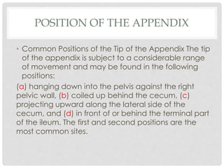 Large intestine | PPTX