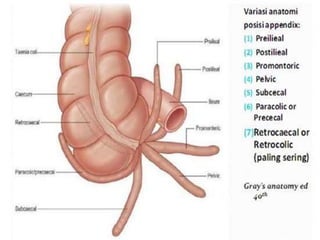 Procto Intestine Large intestine | PPTX