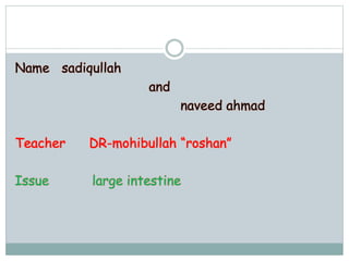 Name sadiqullah
and
naveed ahmad
Teacher DR-mohibullah “roshan”
Issue large intestine
 