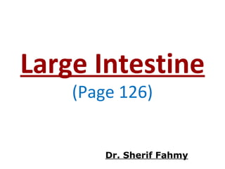 Large Intestine
(Page 126)
Dr. Sherif Fahmy
 