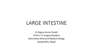 LARGE INTESTINE
Dr Rajeev Kumar Pandit
FCPS 1st Yr Surgery Resident
Manmohan Memorial Medical College
Swoyambhu, Nepal
 