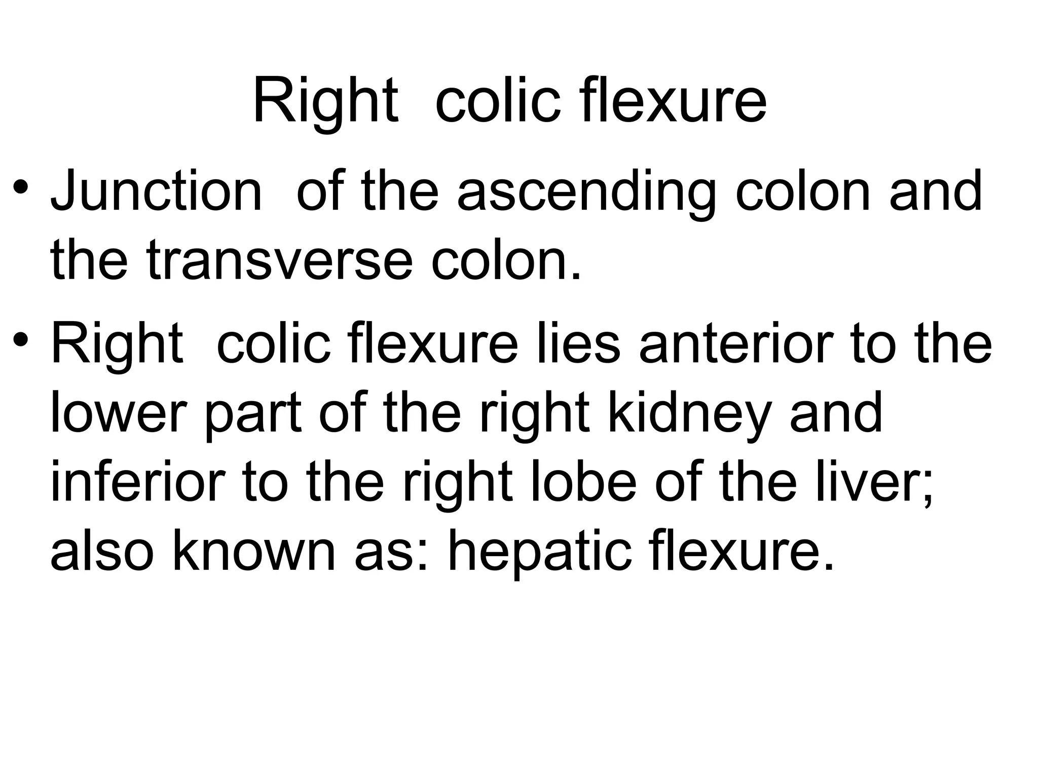 Large intestine .pdf