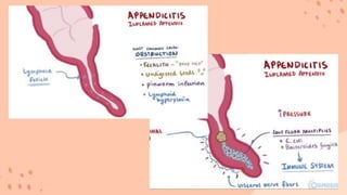 large intestine .pptx