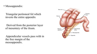 Anatomy of the human Large intestine.pptx