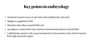 Comprehensive Overview of Large Intestine Anatomy and Malrotation ...