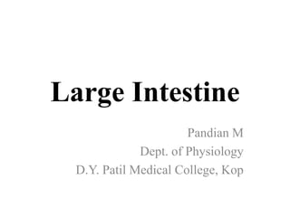 Large Intestine
Pandian M
Dept. of Physiology
D.Y. Patil Medical College, Kop
 
