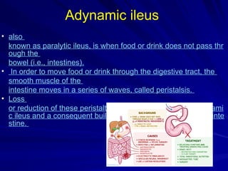Large intestine 2018.pptx. a detailed | PPTX
