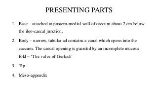 PRESENTING PARTS
1. Base – attached to postero-medial wall of caecum about 2 cm below
the ileo-caecal junction.
2. Body – narrow, tubular ad contains a canal which opens into the
caecum. The caecal opening is guarded by an incomplete mucous
fold – ‘The valve of Gerlach’
3. Tip
4. Meso-appendix
 