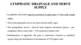 LYMPHATIC DRAINAGE AND NERVE
SUPPLY
• Lymphatics drain into superior mesenteric lymph nodes via ileo-colic lymph
nodes.
• The Parasympathetic nerves are derived from both vagus.
• The Sympathetic nerves – derived from superior mesenteric plexus – pre-
ganglionic fibers come from – T10 segment of spinal cord.
• Inflammation of appendix, the pain is sometimes referred to umbilical
region along the distribution of dermatomes of T10 spinal cord.
 