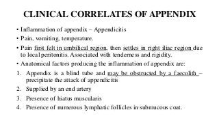 CLINICAL CORRELATES OF APPENDIX
• Inflammation of appendix – Appendicitis
• Pain, vomiting, temperature.
• Pain first felt in umbilical region, then settles in right iliac region due
to local peritonitis. Associated with tenderness and rigidity.
• Anatomical factors producing the inflammation of appendix are:
1. Appendix is a blind tube and may be obstructed by a faecolith –
precipitate the attack of appendicitis
2. Supplied by an end artery
3. Presence of hiatus muscularis
4. Presence of numerous lymphatic follicles in submucous coat.
 