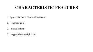 CHARACTERISTIC FEATURES
• It presents three cardinal features:
1. Taeniae coli
2. Sacculations
3. Appendices epiploicae
 