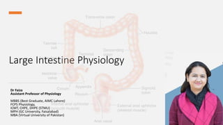 Large Intestine Physiology 
