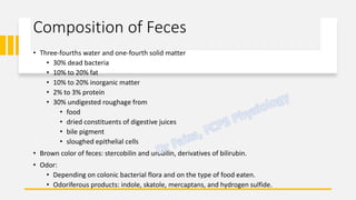 Large Intestine Physiology | PDF