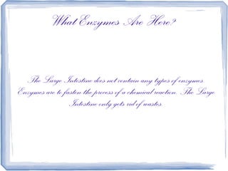 What Enzymes Are Here?


  The Large Intestine does not contain any types of enzymes.
Enzymes are to fasten the process of a chemical reaction. The Large
                 Intestine only gets rid of wastes.
 