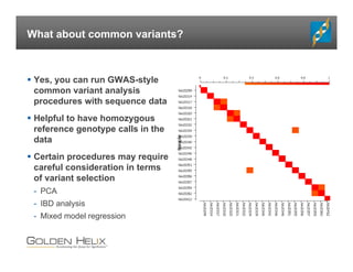 What about common variants?
 Yes, you can run GWAS-style
common variant analysis
procedures with sequence data
 Helpful to have homozygous
reference genotype calls in the
data
 Certain procedures may require
careful consideration in terms
of variant selection
- PCA
- IBD analysis
- Mixed model regression
 