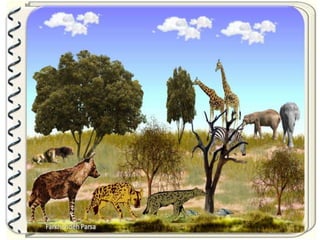 Large pastures f.parsa