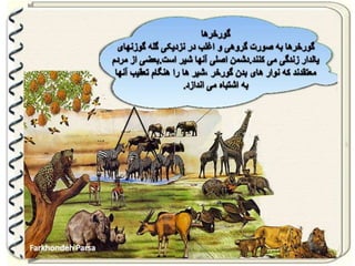 Large pastures f.parsa