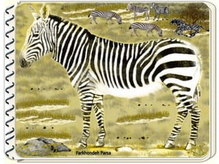 Large pastures f.parsa