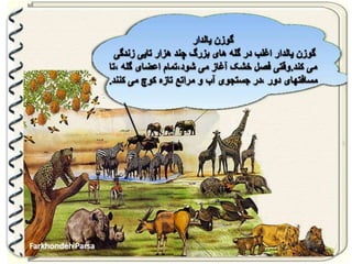 Large pastures f.parsa