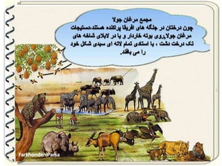 Large pastures f.parsa