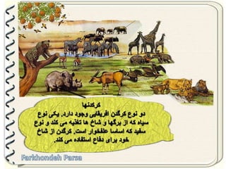 Large pastures f.parsa