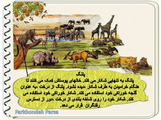 Large pastures f.parsa