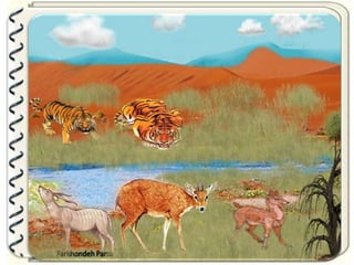 Large pastures f.parsa