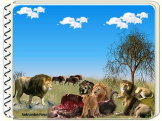 Large pastures f.parsa