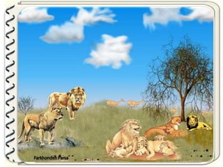 Large pastures f.parsa